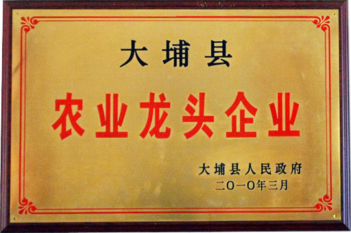 大埔縣農業(yè)龍頭企業(yè)